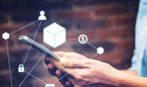 The Role of Transparency in Cryptocurrency